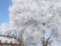 jiangbian-renjia-sheying-jidi-inn