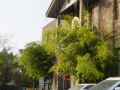 jinlingyun-hostel