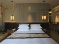 tongtang-guesthouse