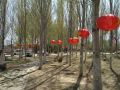 longyi-inn-beijing