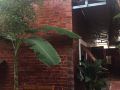 phu-quoc-backpacker