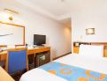 room overview picture