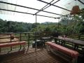 jungle-resort-sik