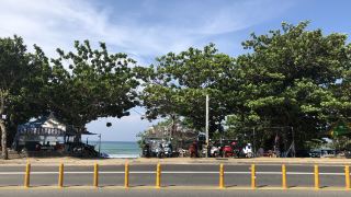 kiwi-resort
