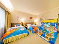 room overview picture