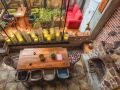 dreams-hostel-chengdu-wuhou-temple-jinli