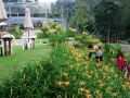 hemerocerite-forest-countryside-bed-and-breakfast