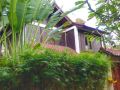 juada-garden