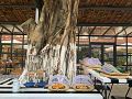 guangzhou-tunan-live-art-hotel