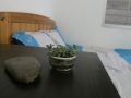xiaoxiao-family-hostel