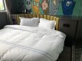 guge-city-grand-hotel