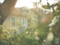 the-last-word-franschhoek