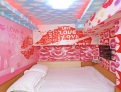 room overview picture
