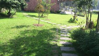 dang-guei-homestay
