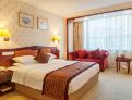 room overview picture