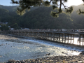 tsubaki-ann-kyoto