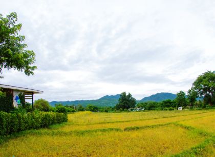 키리나 레트로 하우스