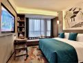 room overview picture
