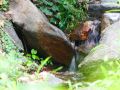 rizhao-small-tea-mountain-homestay