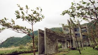 reindeer-hualien-118