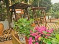 wei-zhou-island-homestay