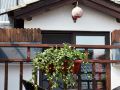 xiangting-inn
