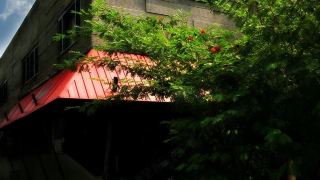 royaute-luxury-suites-and-hotel