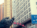 xiangyu-apartment