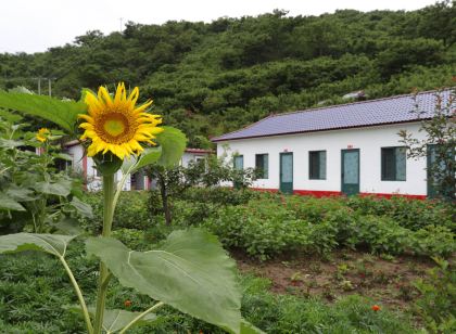 寬甸老金溝農家院