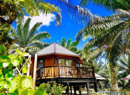 Perfect Forest Eco-Resort