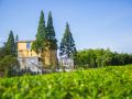 alltique-art-villa