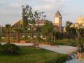 rose-manor