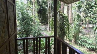 pasak-resort