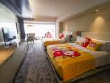 room overview picture
