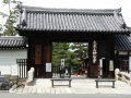 tsubaki-ann-kyoto