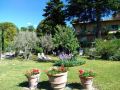 ulivi-di-castello