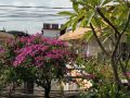 xishuangbanna-backpacker-youth-hostel