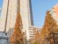 lejia-apartment-hotel-nanjing-zhongshang-wanhao