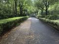 chunmanli-apartment-hotel-hangzhou