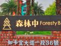 forest-bed-and-breakfast