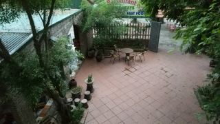 tam-coc-green-fields-homestay