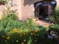 the-artisan-cottage-youth-hostel