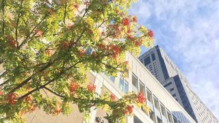 jr-tower-hotel-nikko-sapporo