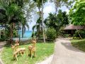 secret-cliff-resort-and-restaurant-phuket