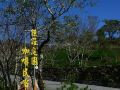 wang-wang-cafe-hostel