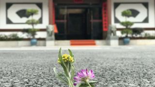 ruting-yayuan-hotel