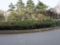 jinlingyun-hostel