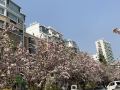 wusehai-garden-hostel