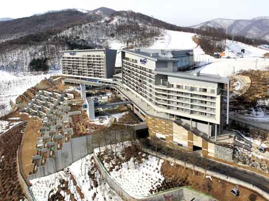 하이원 리조트 콘도 Hotel Exterior