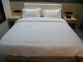 cat-house-smart-hotel